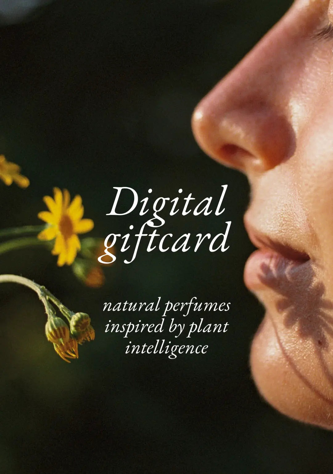 Lingua Planta Gift Card