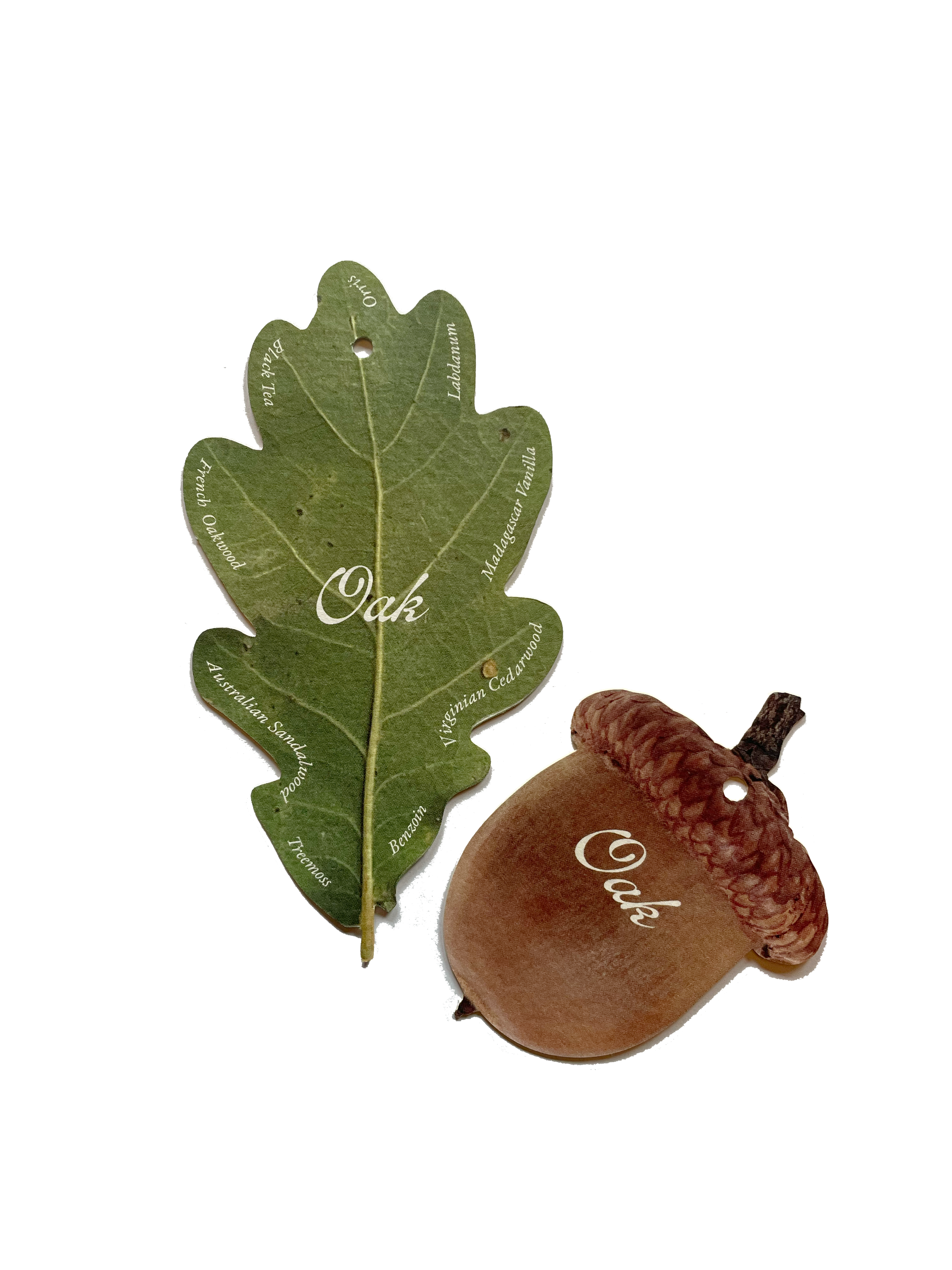 Oak scent cards