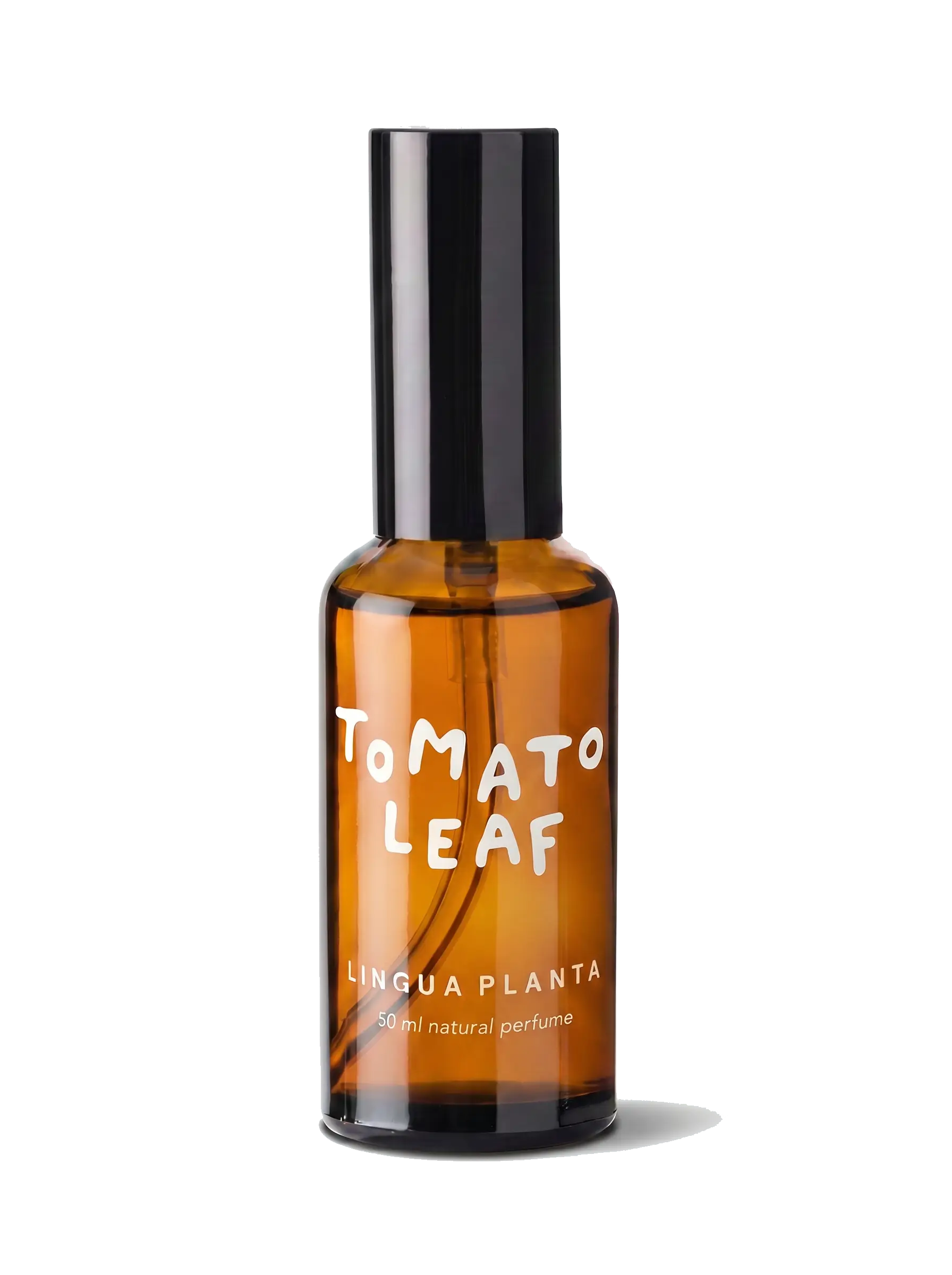 Tomato Leaf