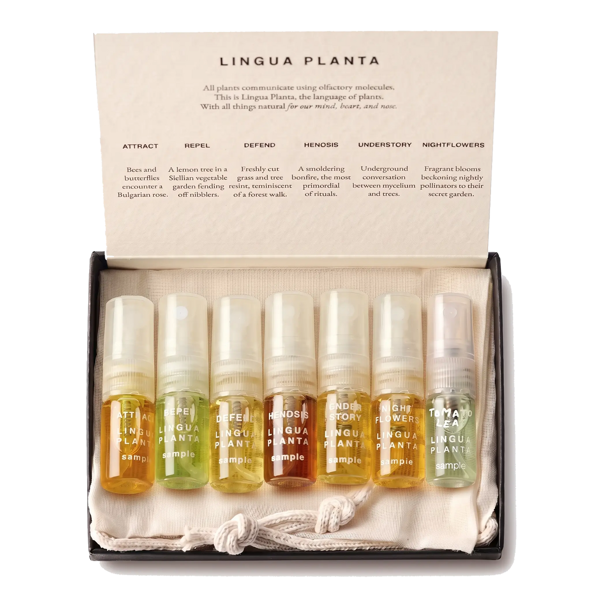 Discovery Kit + Tomato Leaf sample
